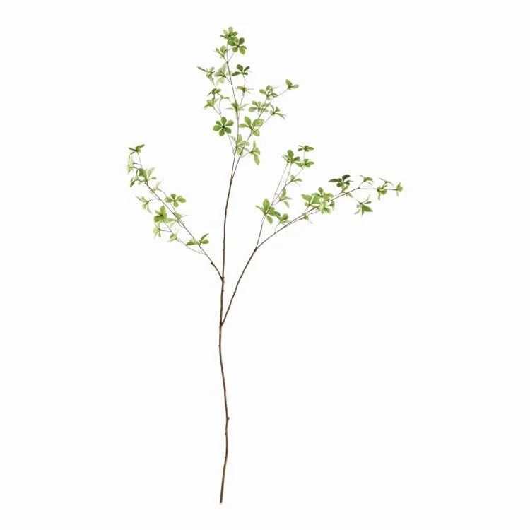 Japanese Dodan Branch
