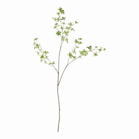 Japanese Dodan Branch