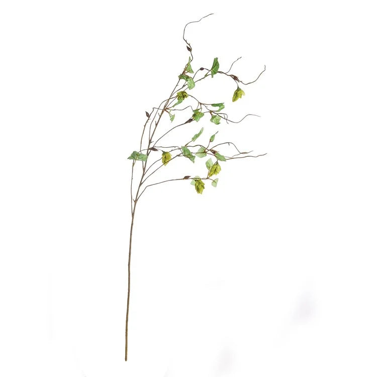 Hops Branch