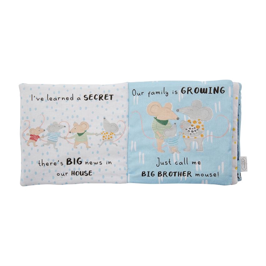 Big Brother Book & Pin Set