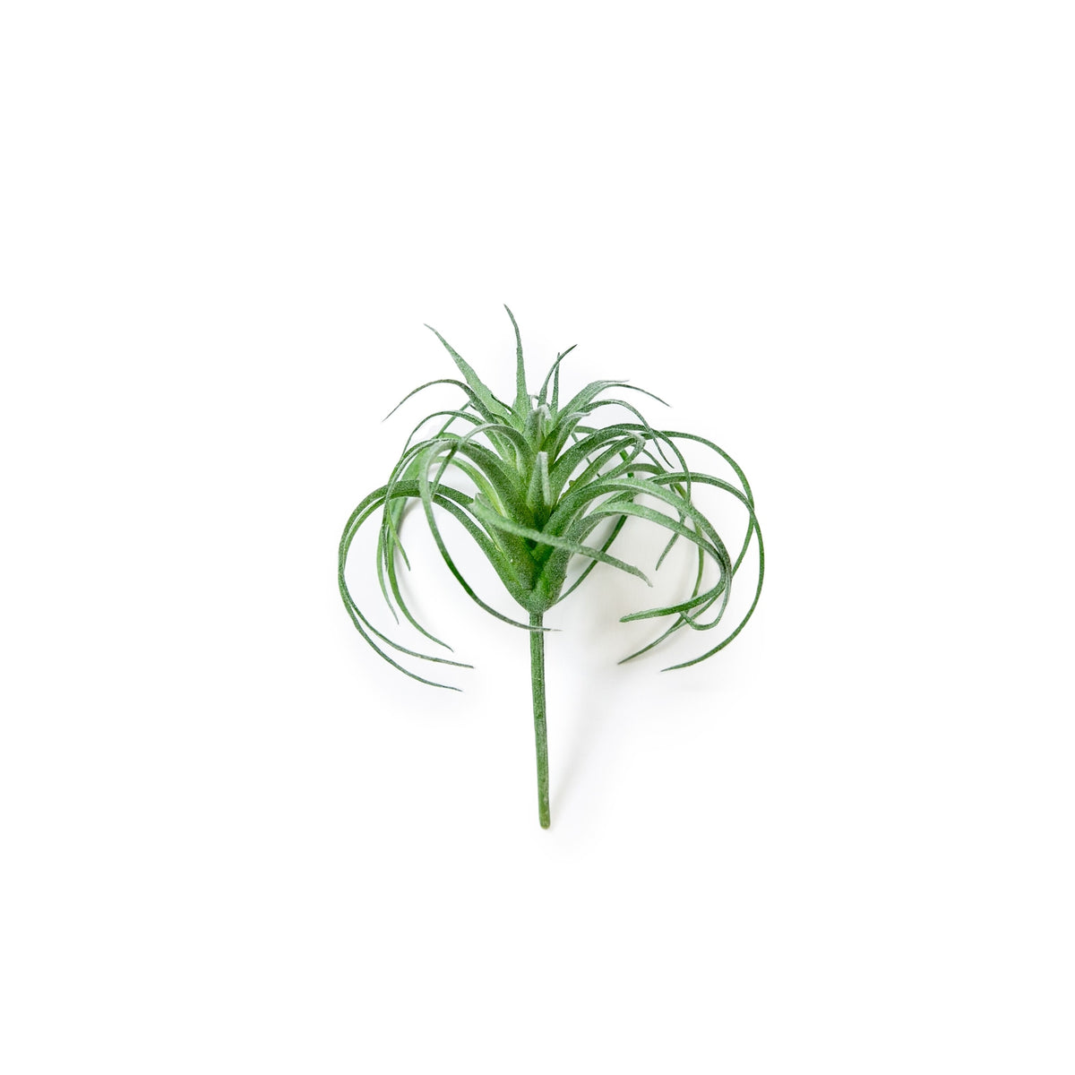 Faux Tillandsia Air Plant