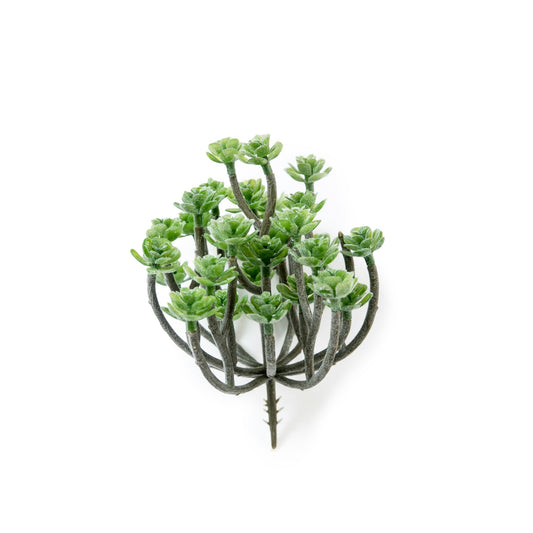 Flocking Succulent Tree