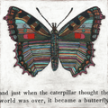 Butterfly Wall Art