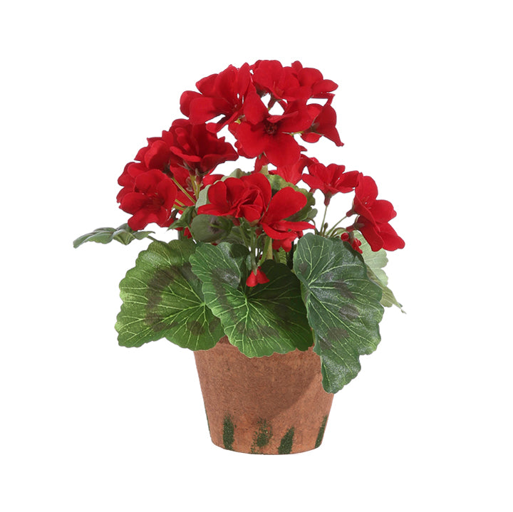 Potted Red Geraniums