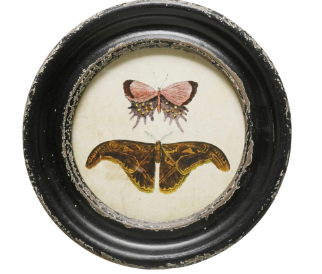 Vintage Reproduction Butterfly Wall Art