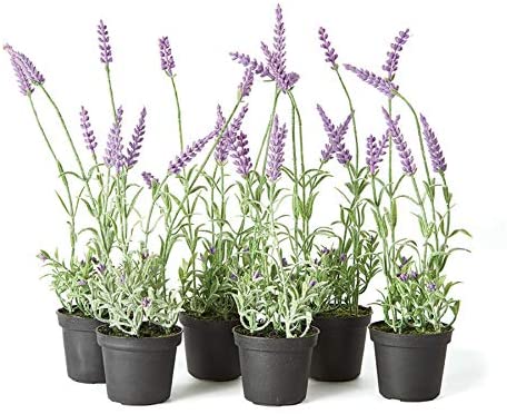 French Lavender Drop-In