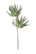 Fritillaries Stem