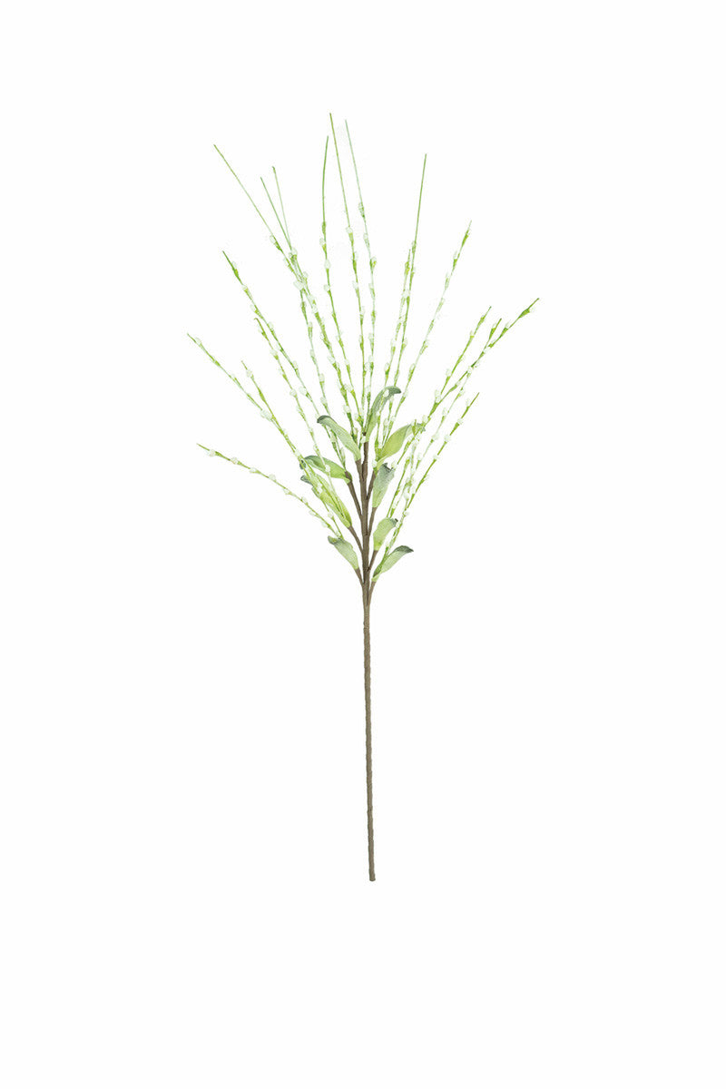 Tumbleweed Grass