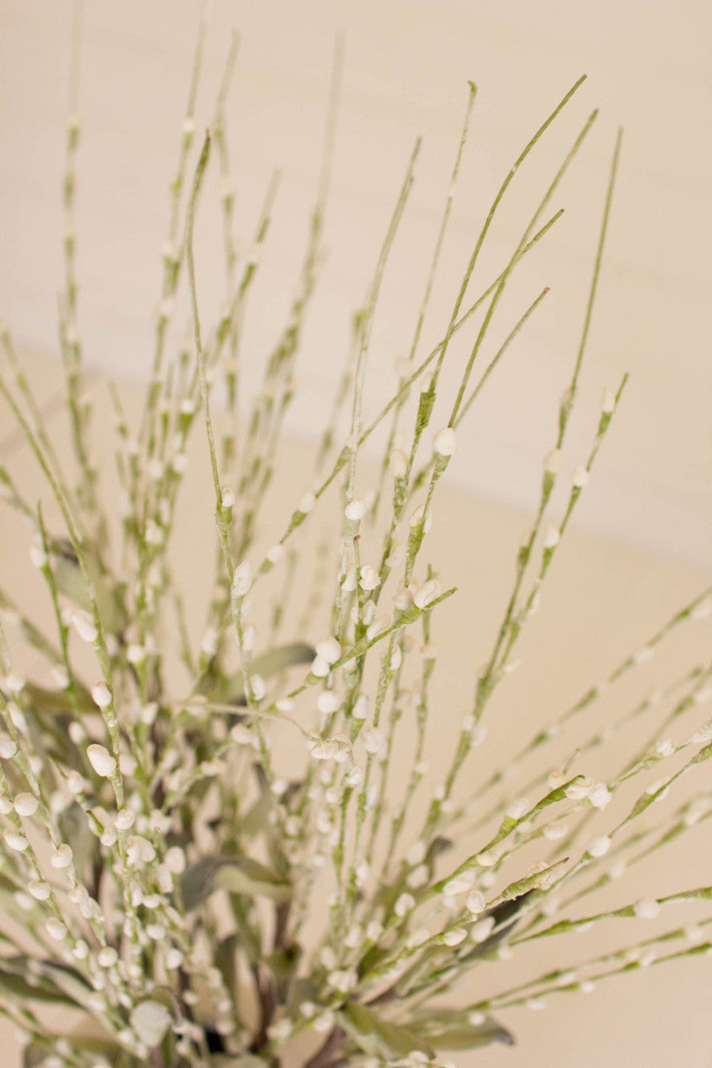 Tumbleweed Grass