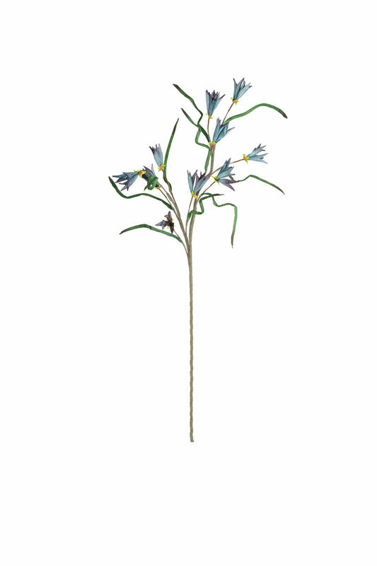 Crane Flower Stem