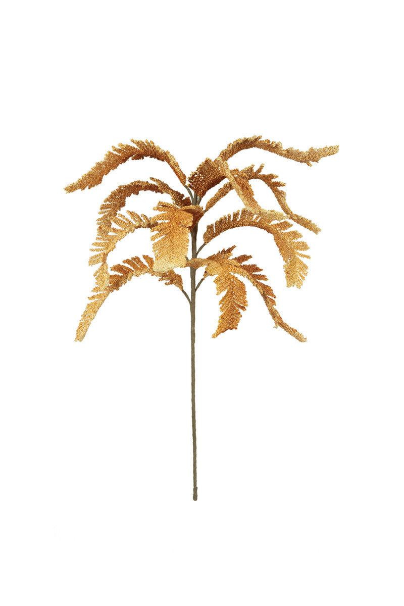 Filix Stem