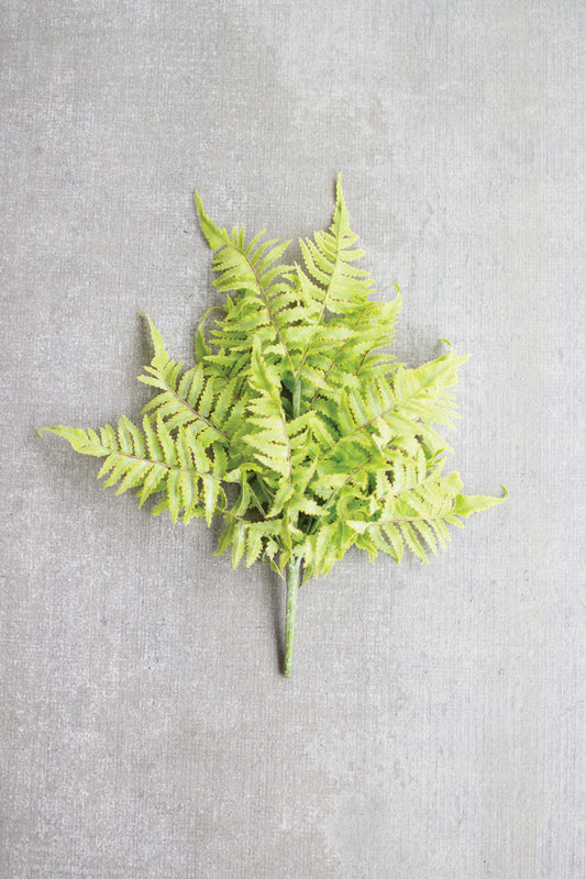 Fern Bundle
