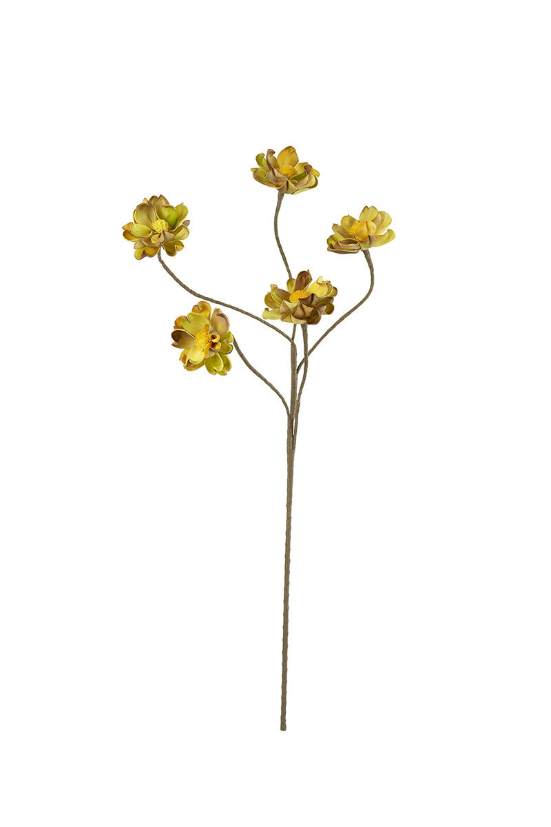 Buttercup Stem