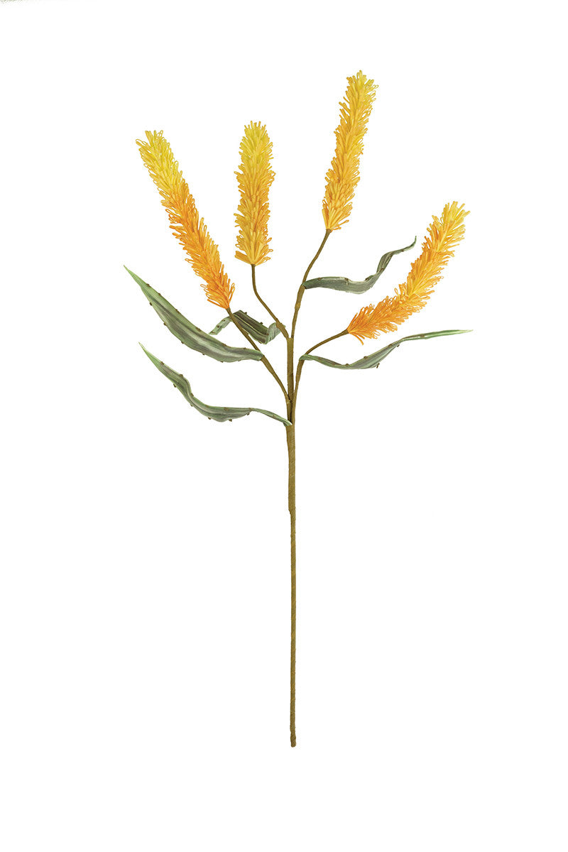 Krantz Floral