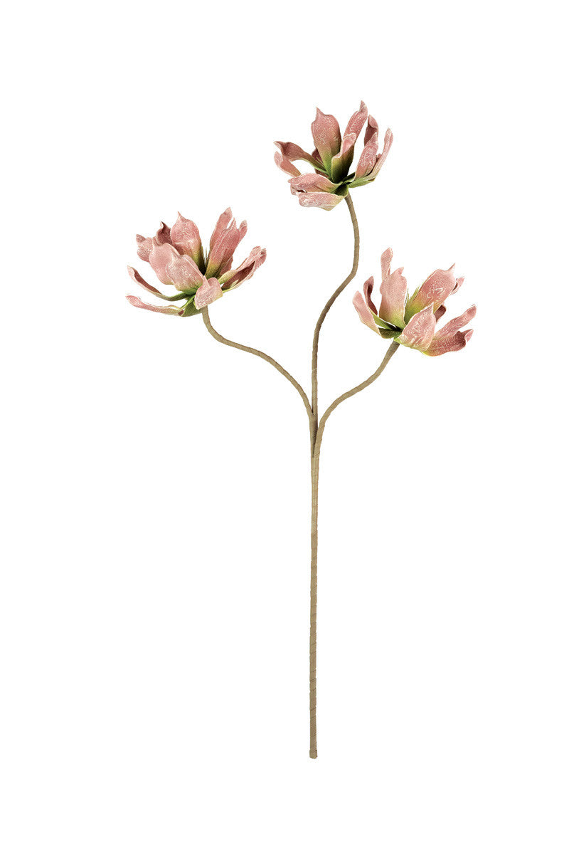 Konjac Floral