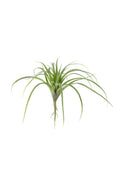 Large Faux Air Plant