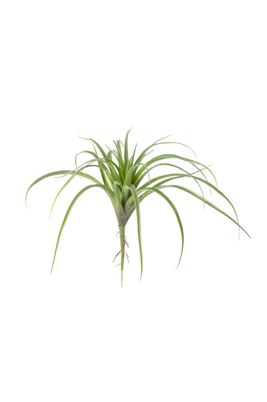Large Faux Air Plant