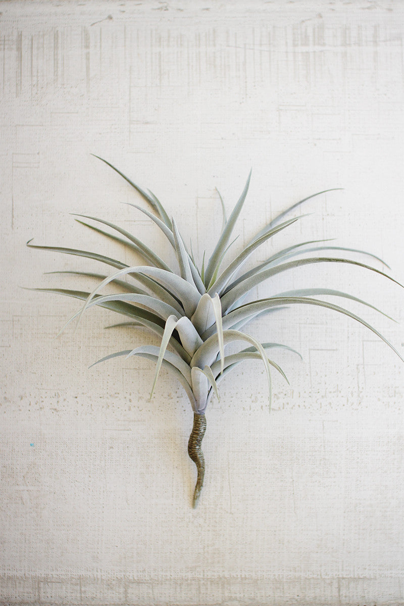 Giant Faux Airplant