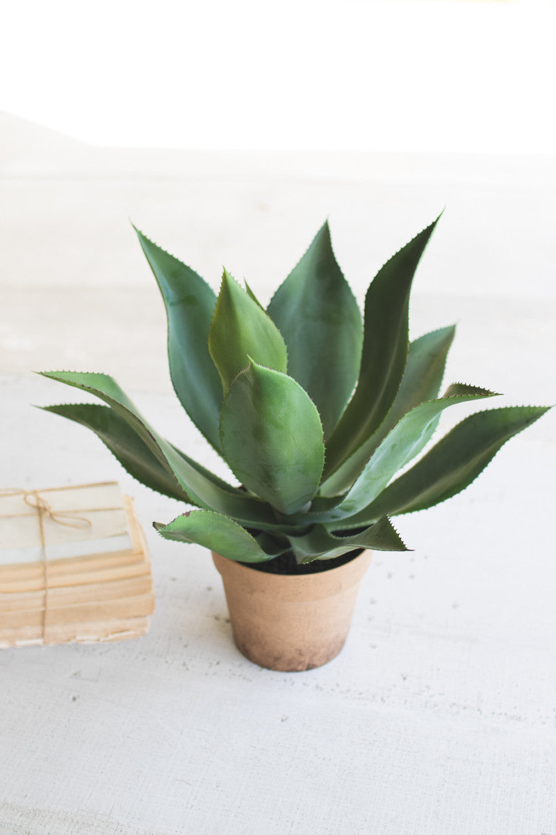 Potted Artificial Agave