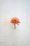 Artificial Red Succulent Stem