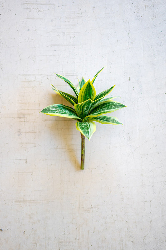 Artificial Hahnii Stem