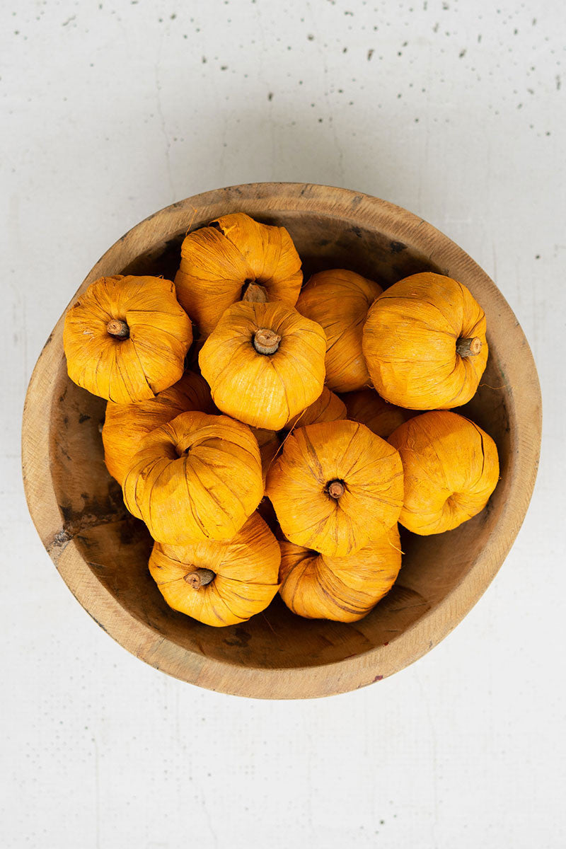 Dried Mini Faux Pumpkins
