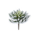 Faux Woolly Senecio Stem