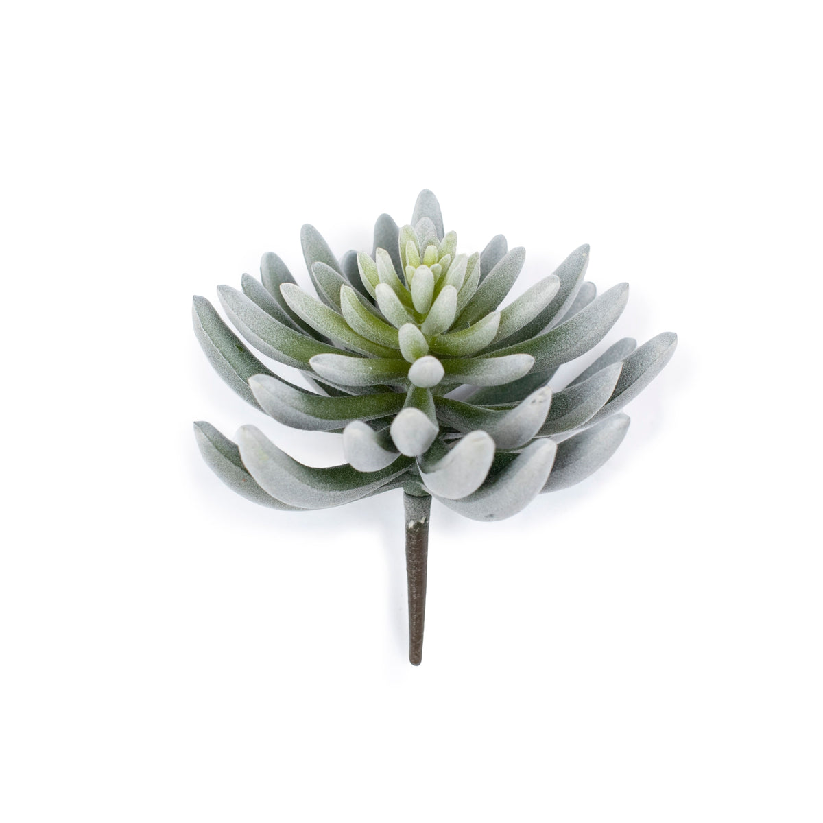 Faux Woolly Senecio Stem