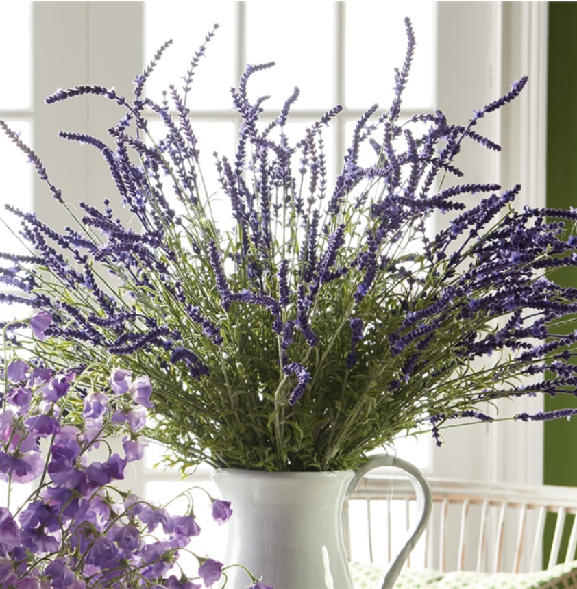 French Lavender Bush