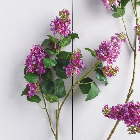 Garden Lilac Branch, Violet