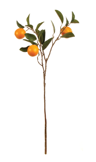 Orange Branch
