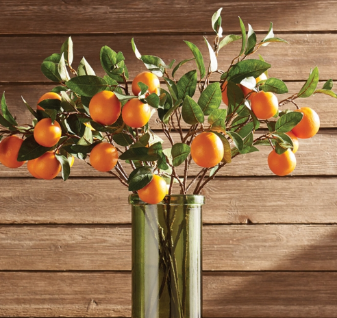 Orange Branch