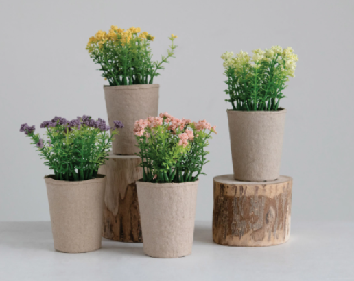Blooming Plants in Paper Pots