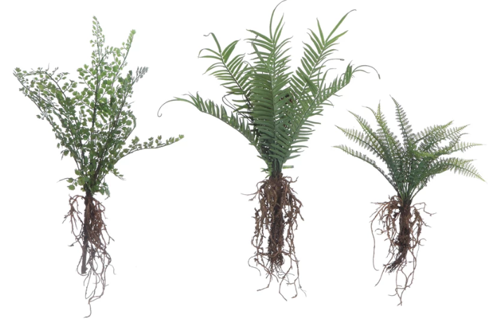 Faux Ferns with Exposed Roots