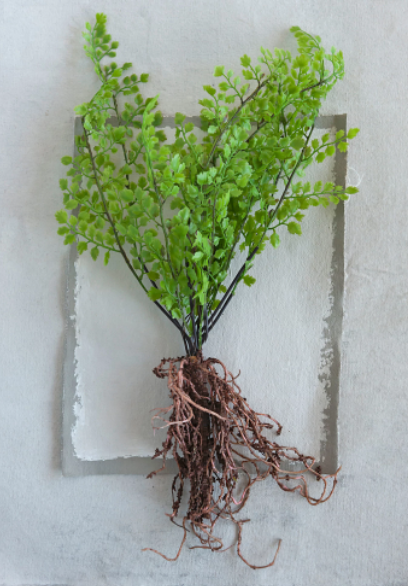 Faux Ferns with Exposed Roots