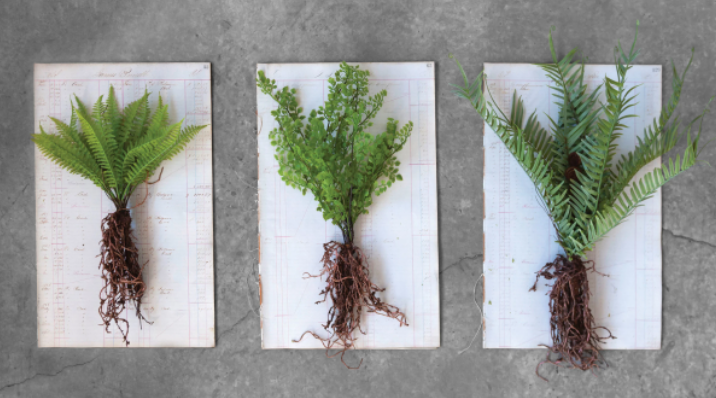 Faux Ferns with Exposed Roots