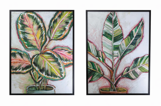Distressed Wood Framed Botanical Prints