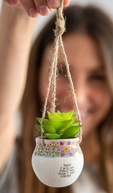 Will Not Stress Mini Hanging Faux Succulent