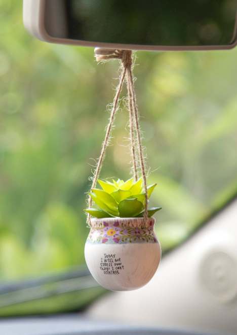 Will Not Stress Mini Hanging Faux Succulent