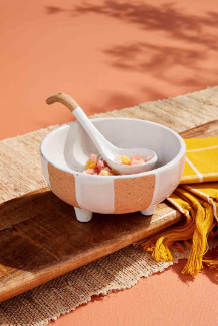 Terra-Cotta Salsa Bowl Set