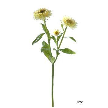 White Calendula Floral Bunch