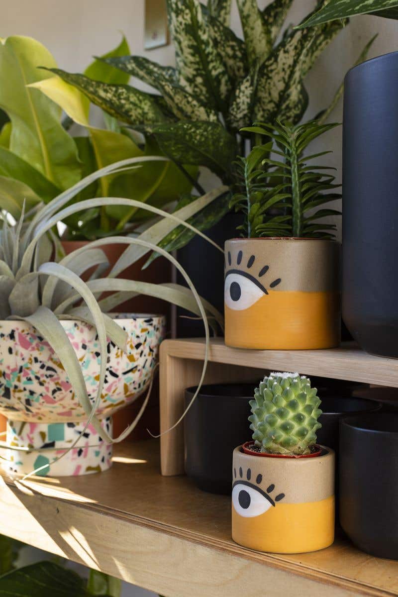 Vision Pots Kennedy Sue Gift & Home